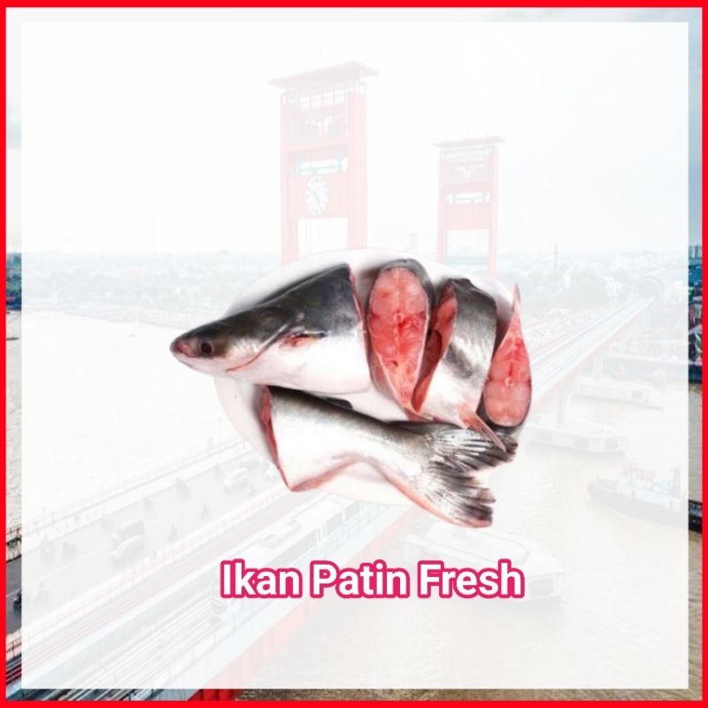 

Ikan Patin Fresh - Sayur Ampera