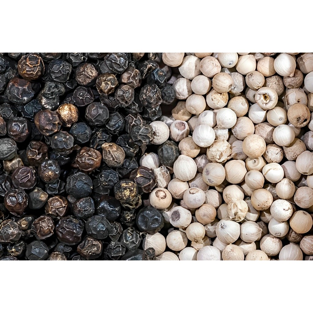 

Lada Putih Premium Asli Sulawesi