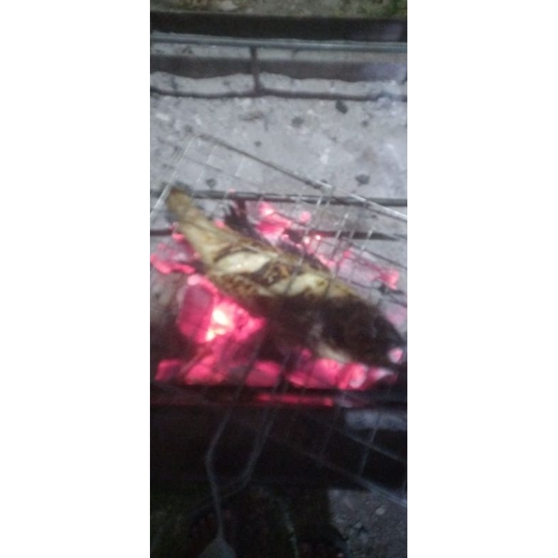 

IKAN KRAPU BAKAR COD