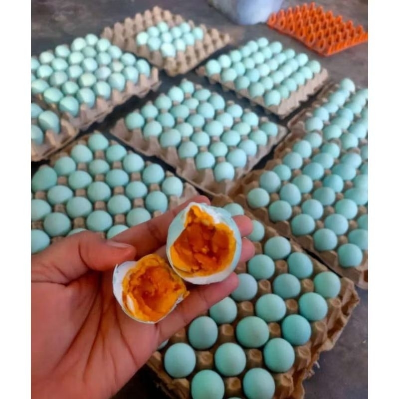 

Telur Asin Masir Matang Murah Ukuran Sedang