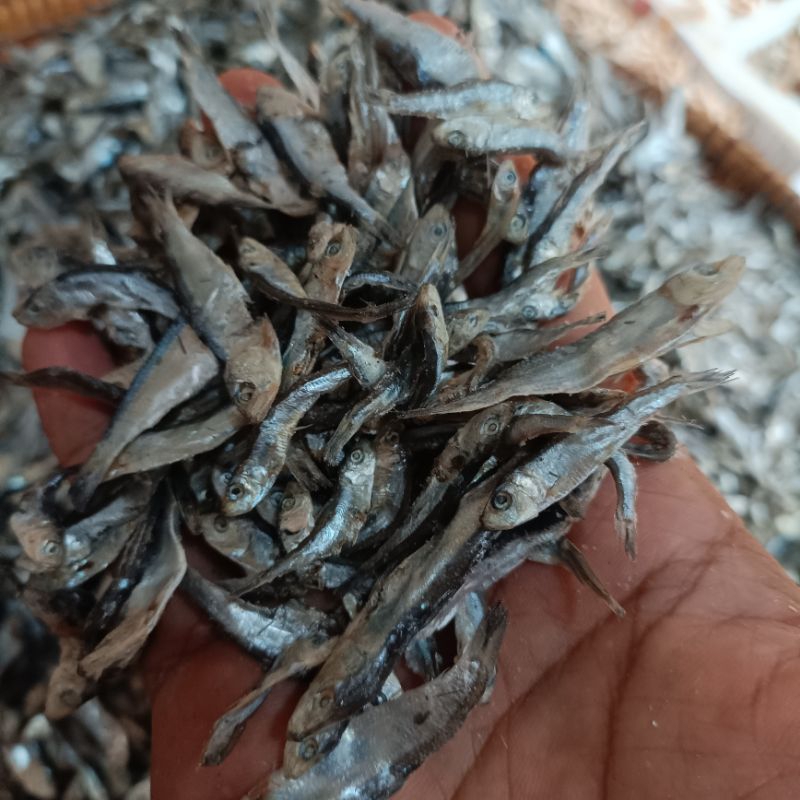 

ikan asin teri layang/lemet super kecil 1000gr.kering bersih dan fresh.