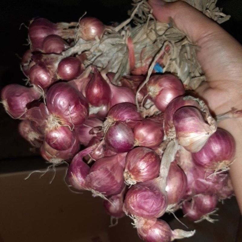 

brambang super