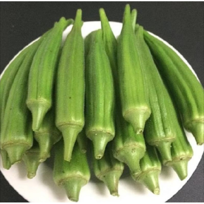 

5 Butir - Benih Sayuran Buah Okra