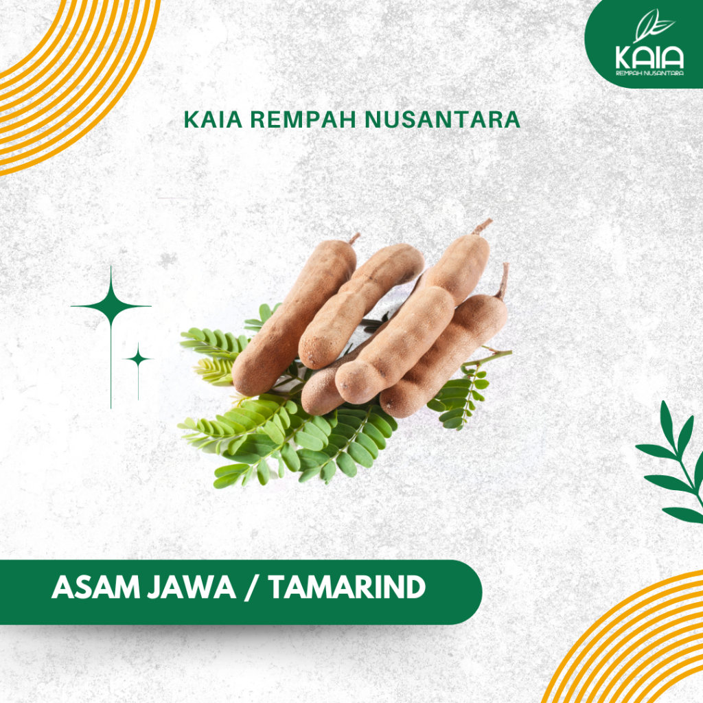 

KAIA Asam Jawa - Rempah bumbu dapur segar premium