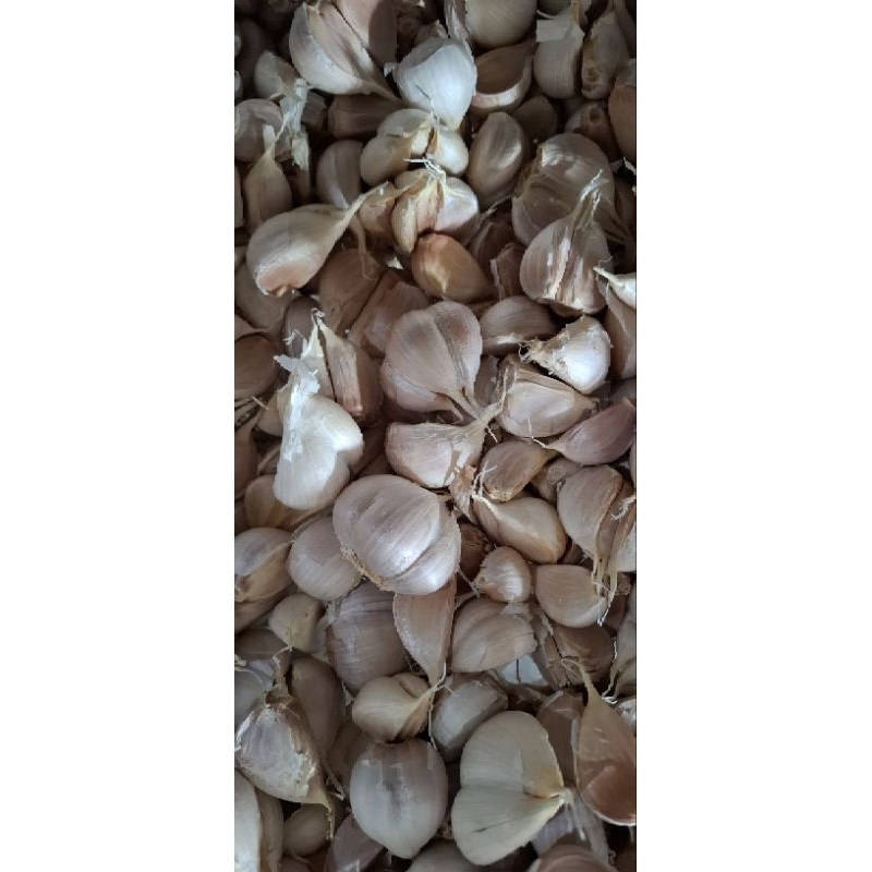 

bawang putih kating 250gr