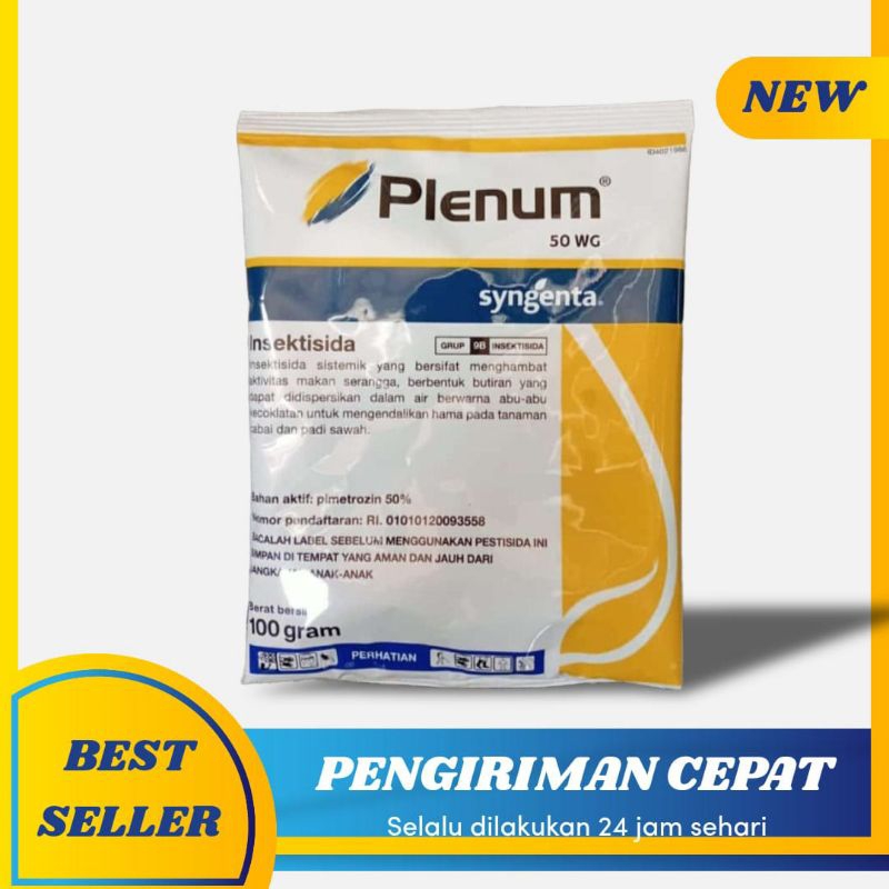 Plenum 100gram