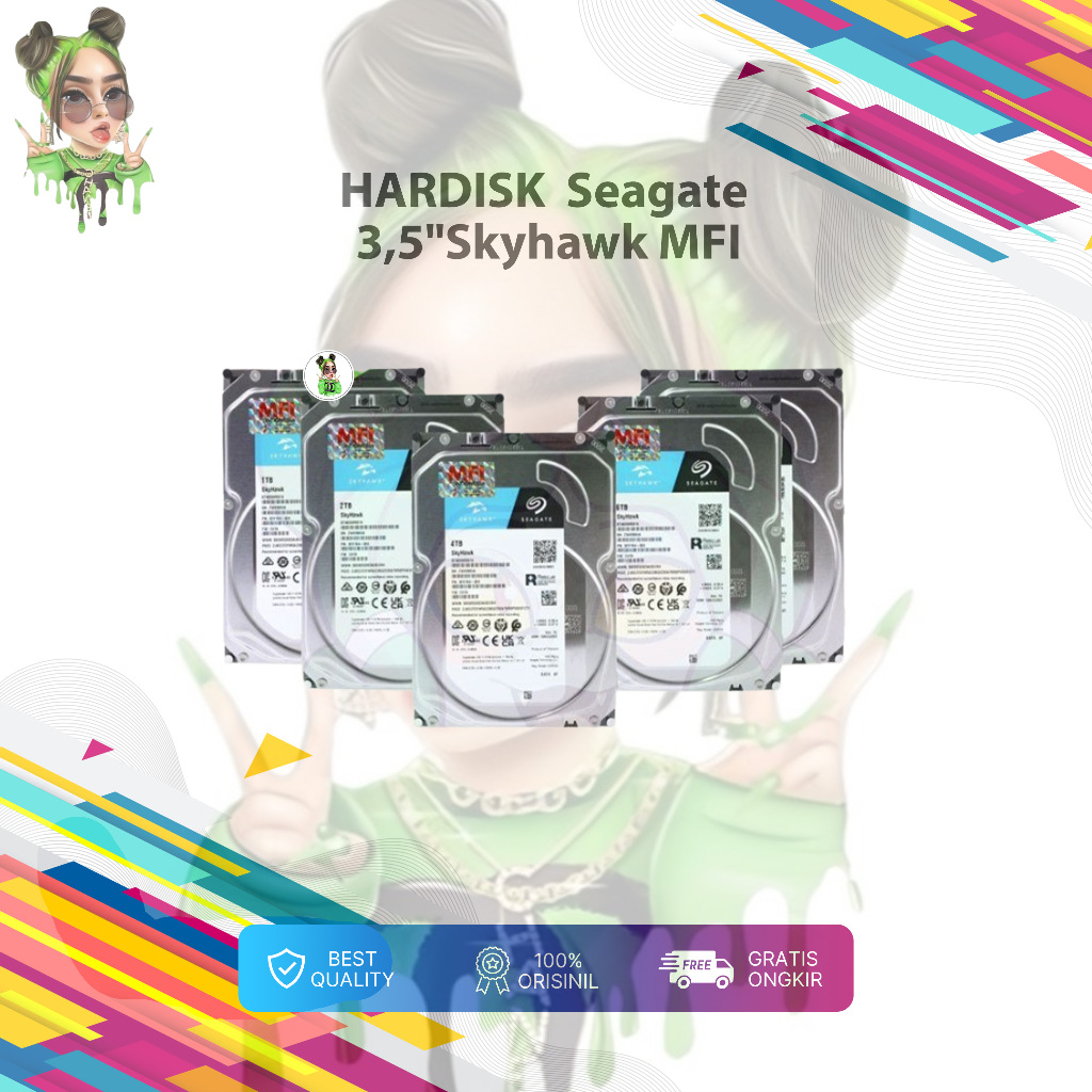 Harddisk HDD 1 2 4 6 8  TB Seagate 3,5" Skyhawk MFI