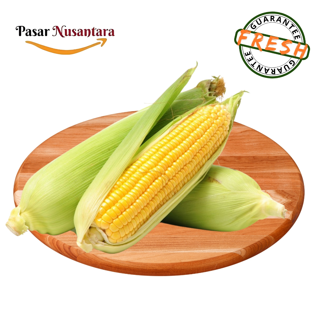 

Jagung manis 1 kg - Pasar Nusantara