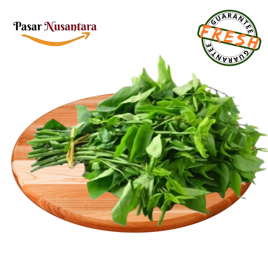 

Sayur daun katuk per ikat - Pasar Nusantara