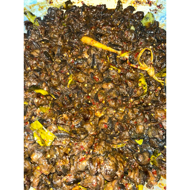 

krengsengan bekicot