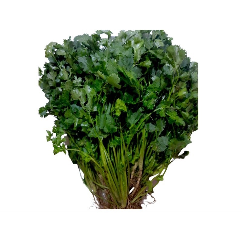

Daun Ketumbar / Wansui 250 gr