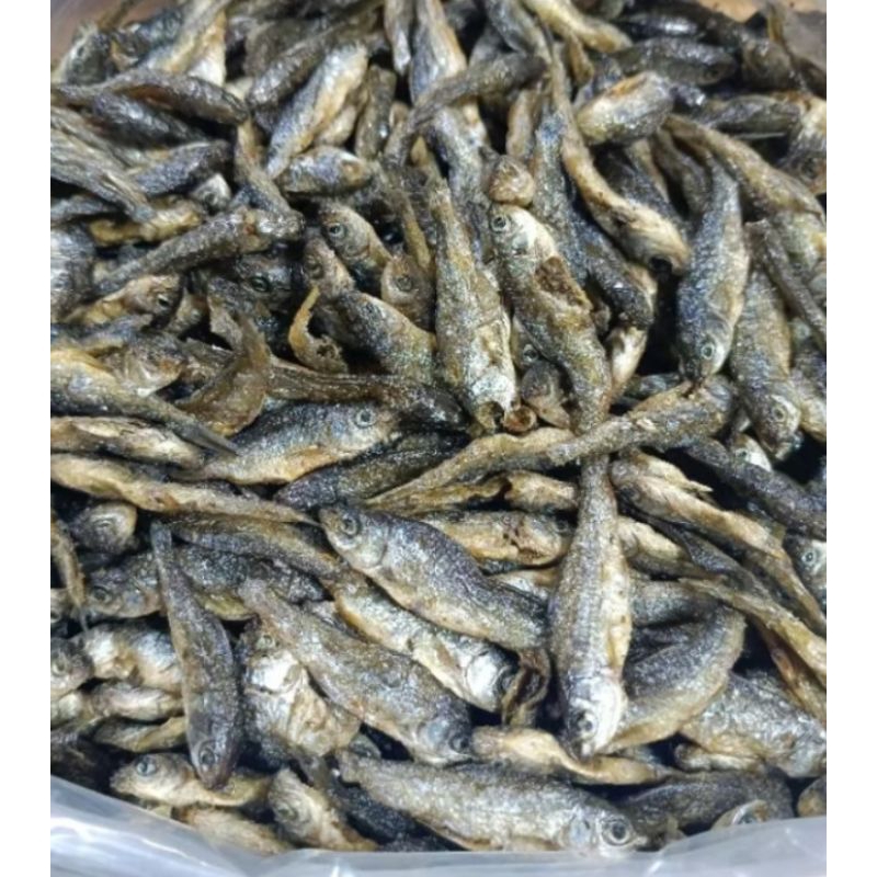 

Ikan Bilih Asli Danau SingkaraK Sumbar 250Gr