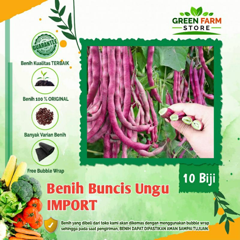Benih Buncis Ungu-IMPORT (10Biji)