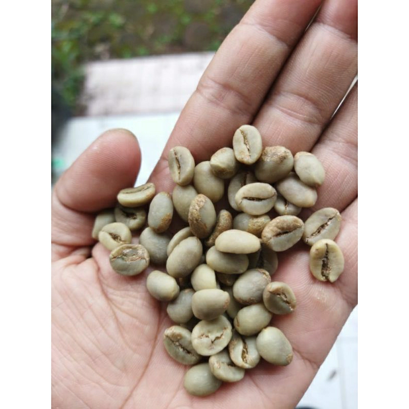 

BANYUWANGI GREEN BEAN ROBUSTA (Natural Sortir) KAGURA