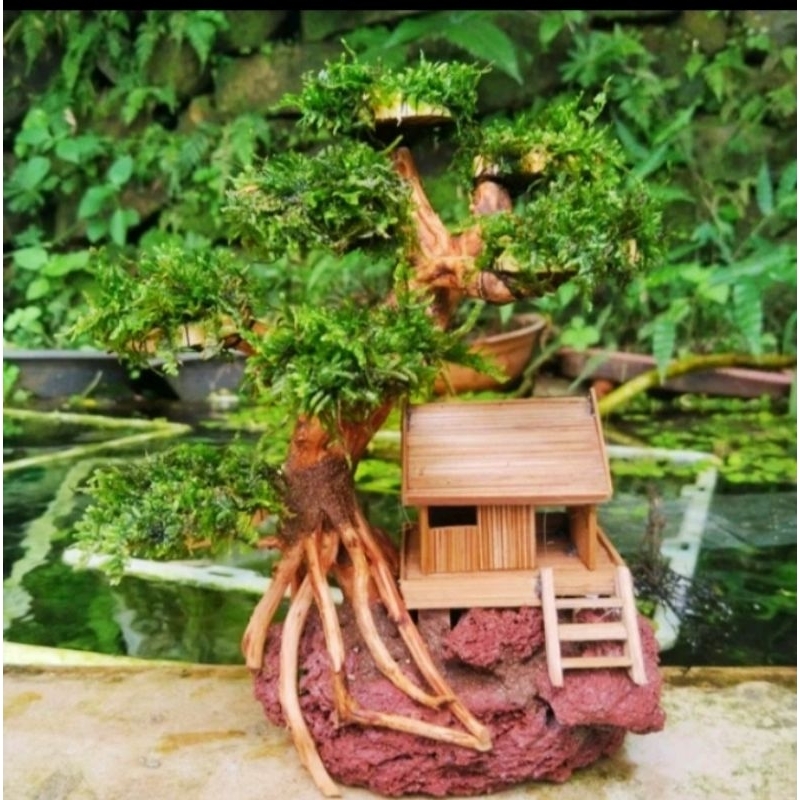 miniatur bonsai rumah pohon bonsai mos -hiasan aquascape