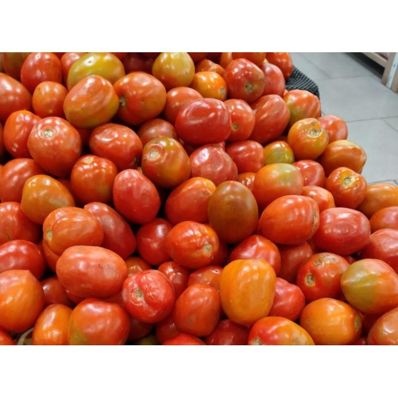 

Tomat sayur segar 1kg