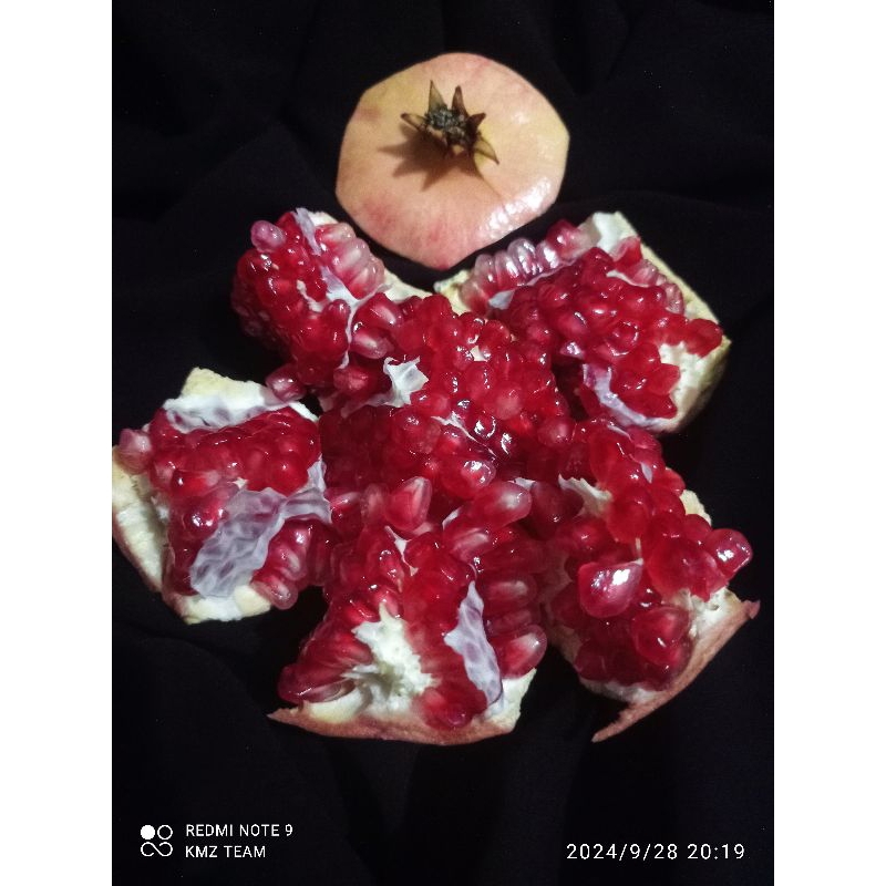 

Buah Delima Merah Biji Lunak Impor Per Buah