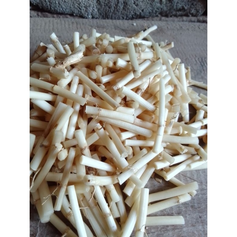 

Paket 3 Cm Herbal Akar Alang-alang Segar Mengatasi Diare Panas Dalam Ampuh Dan Almi