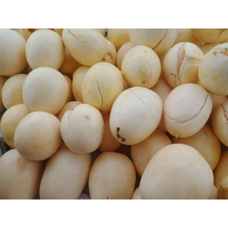 

Timun suri Manohara asli dri petani sendiri di Jamin pulen tidak mundah hancur jika di buat es