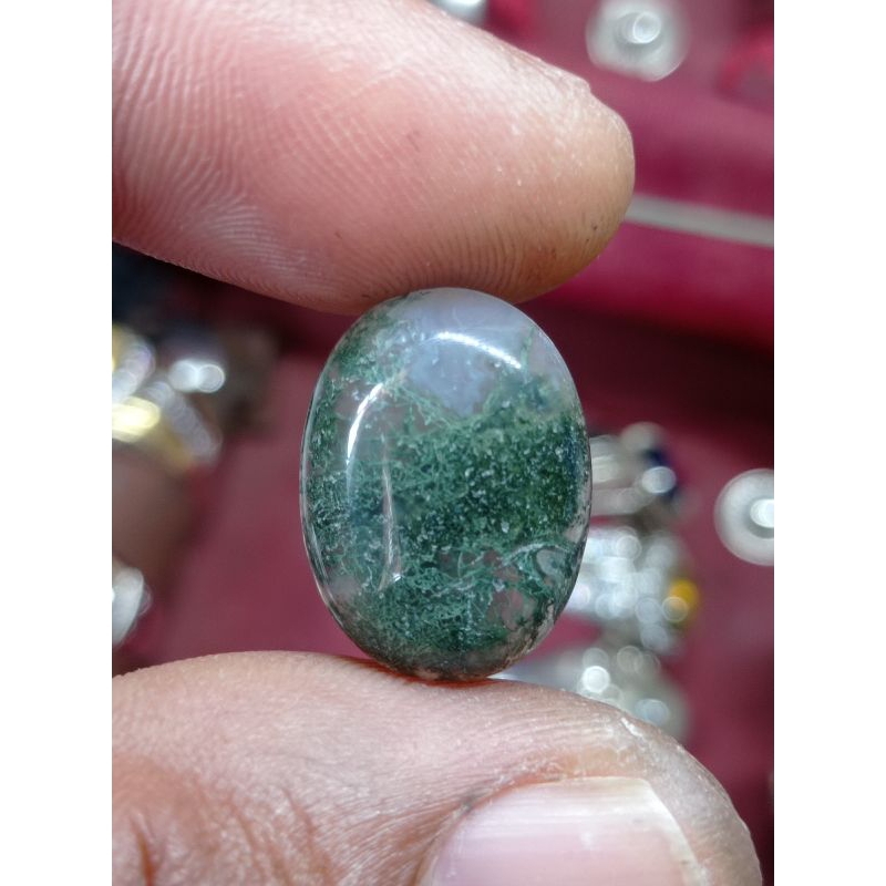 natural akik lumut suliki