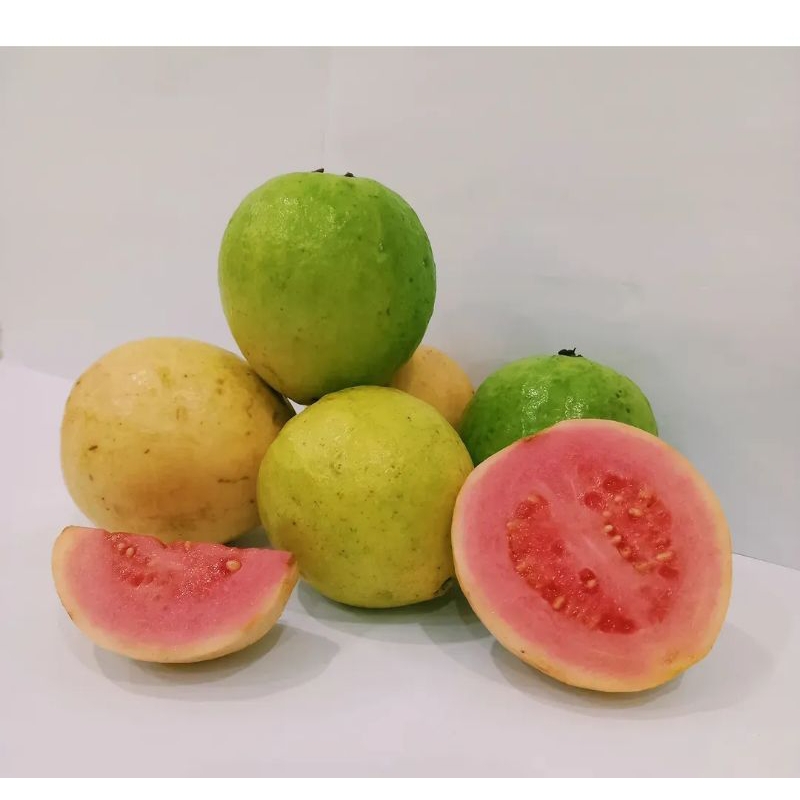 jambu merah jambu biji 1kg