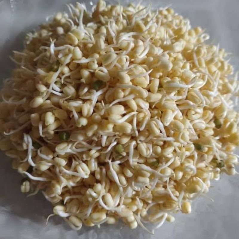 

TAUGE/ TOGE/ KECAMBAH/ TOGE SOTO/ TOGE RAWON