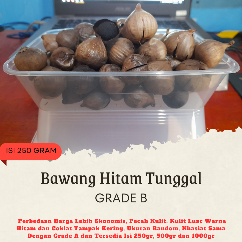 

Bawang Hitam Tunggal Black Garlic Lanang Isi 250 Gram Grade B Khusus Instan Sameday