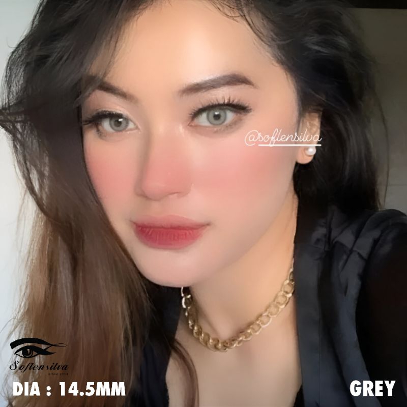 SOFTLENS ARABIAN / SARAH SWEETY / ARABIAN LOOK 14.5 MM GREY / BROWN ( NORMAL )