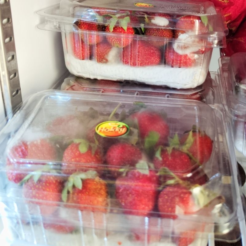 

STRAWBERRY STROBERRY LOKAL FRESH UK. SEDANG