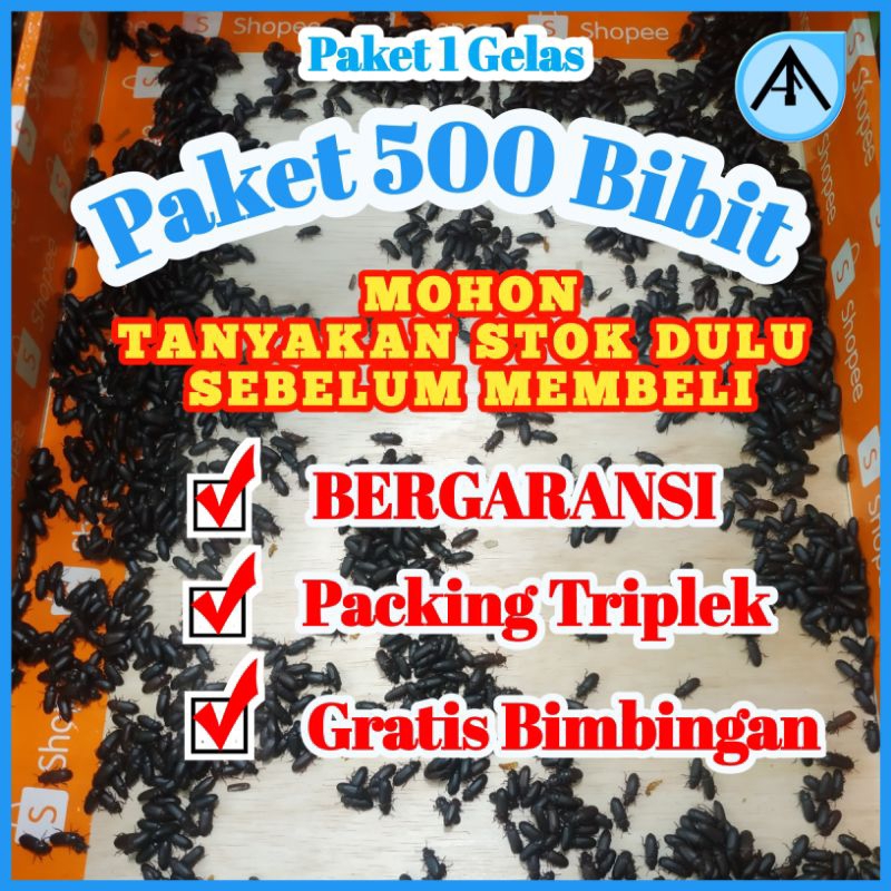 KEPIK ULAT HONGKONG SUPER FRESH