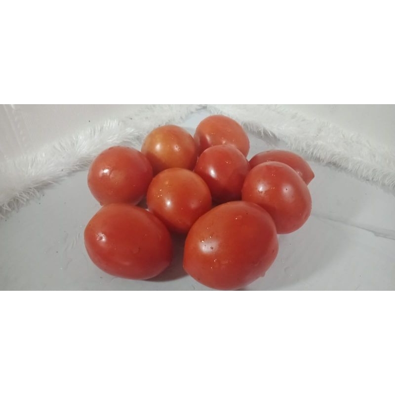 

Tomat segar 500gram