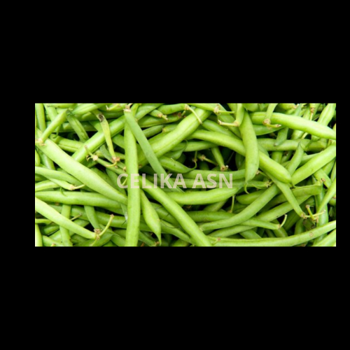 

Buncis 250 gr Sayuran Fresh Pasar Sayur