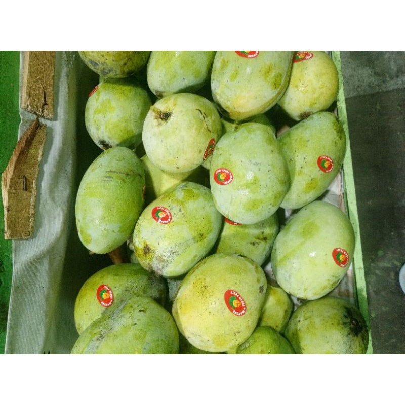 

Mangga Harum manis 1KG