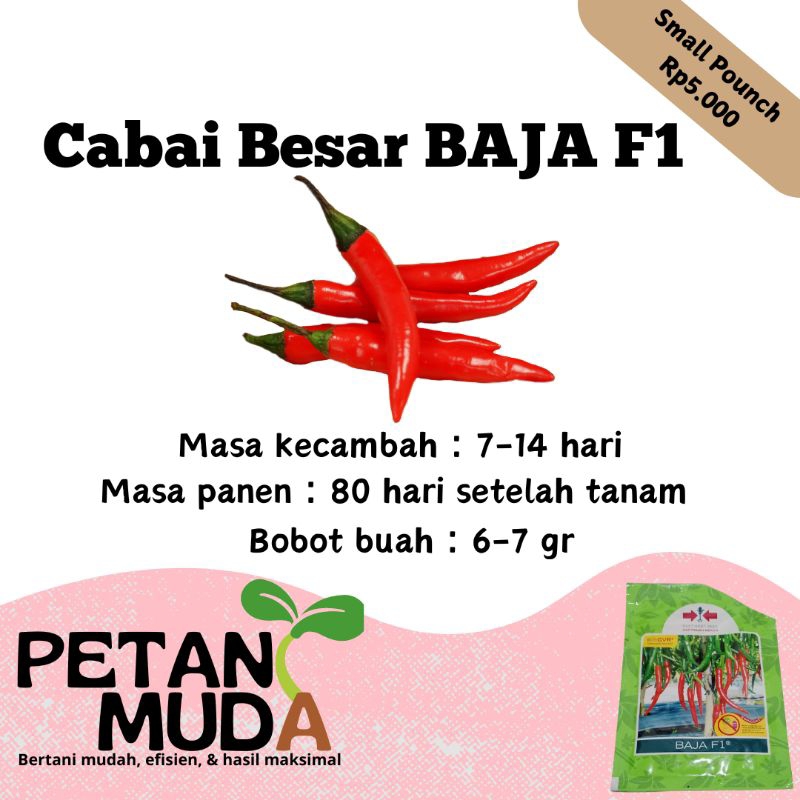 

aneka jenis cabe repack kualitas