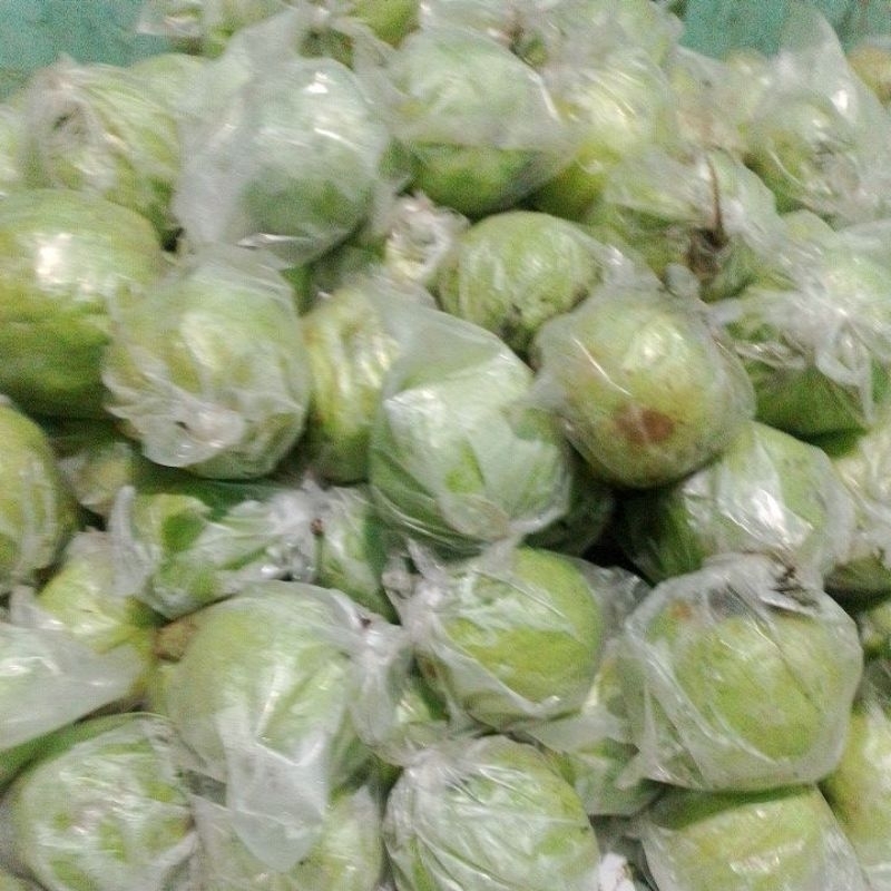 

Jambu Kristal 1kg asli Kebumen-Purworejo