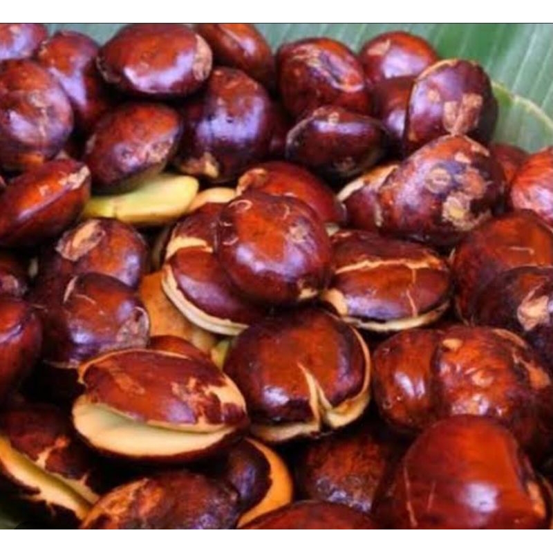 

jengkol tua fresh selalu
