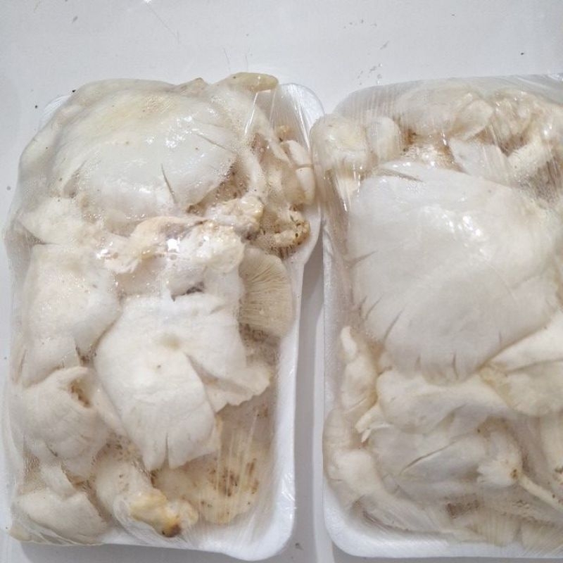 

jamur tiram fresh 1 pack