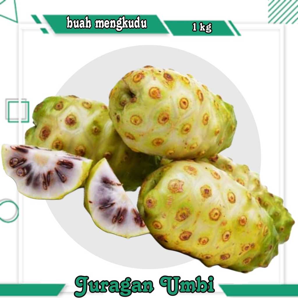 

Buah mengkudu Segar1 kg / Daun mengkudu muda