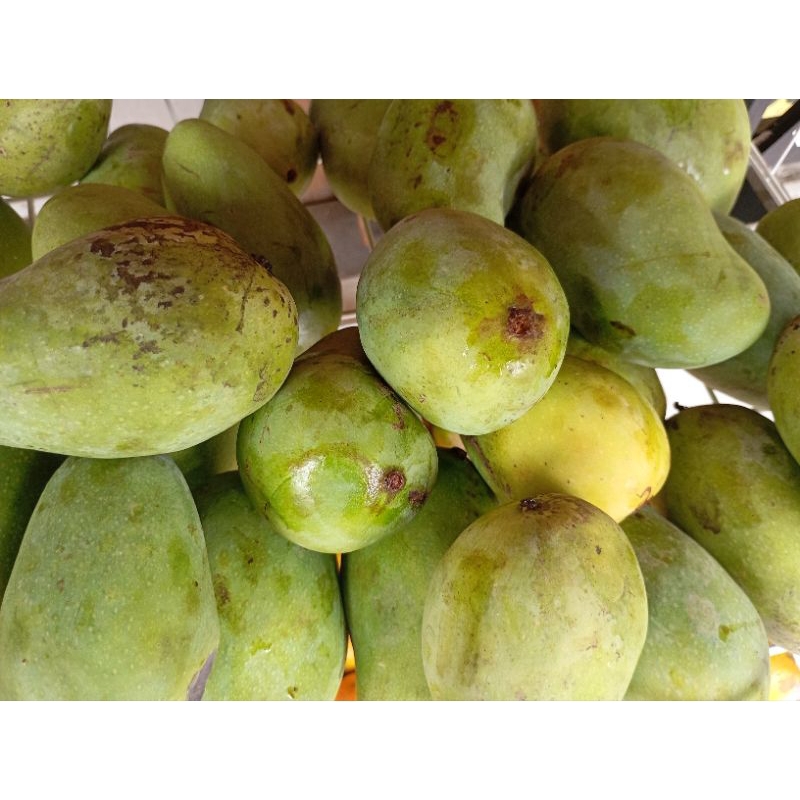 

Mangga Harum Manis 1kg