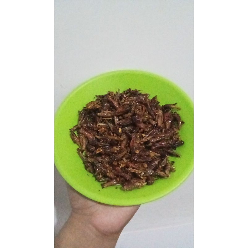 

Belalang goreng