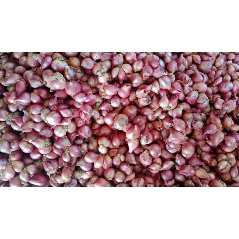 

bawang merah kering