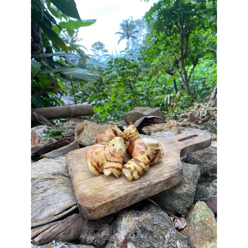 

Laos / Lengkuas basah segar Dijamin kualitas super