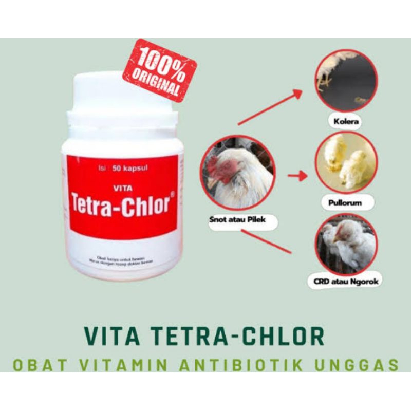 Tetrachlor Tetra-Chlor Obat Unggas Burung Obat Snot Ngorok Kolera Corisa