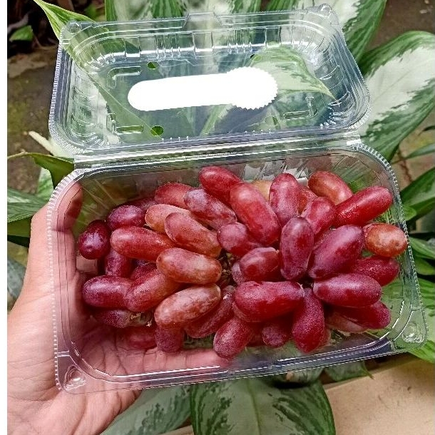 

Anggur Red Long Crimson Seedless Fresh Non Biji