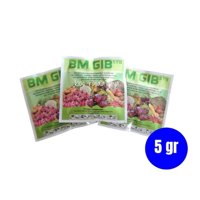 ZPT BM GIB 5TB GA3 dan Auxsin