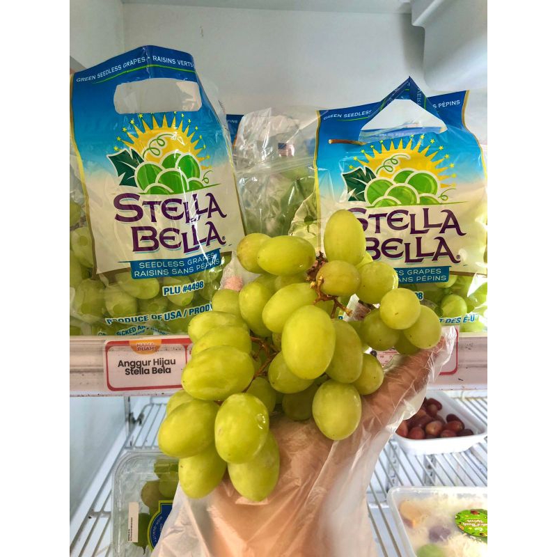 

Anggur Hijau Stella Bela