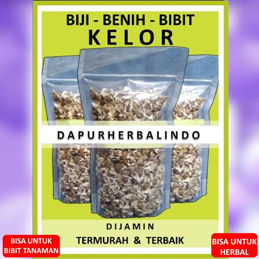 

BIJI KELOR TERBAIK [ ISI - +250 BIJI ] UNTUK OBAT ATAU UNTUK BIBIT TANAMAN