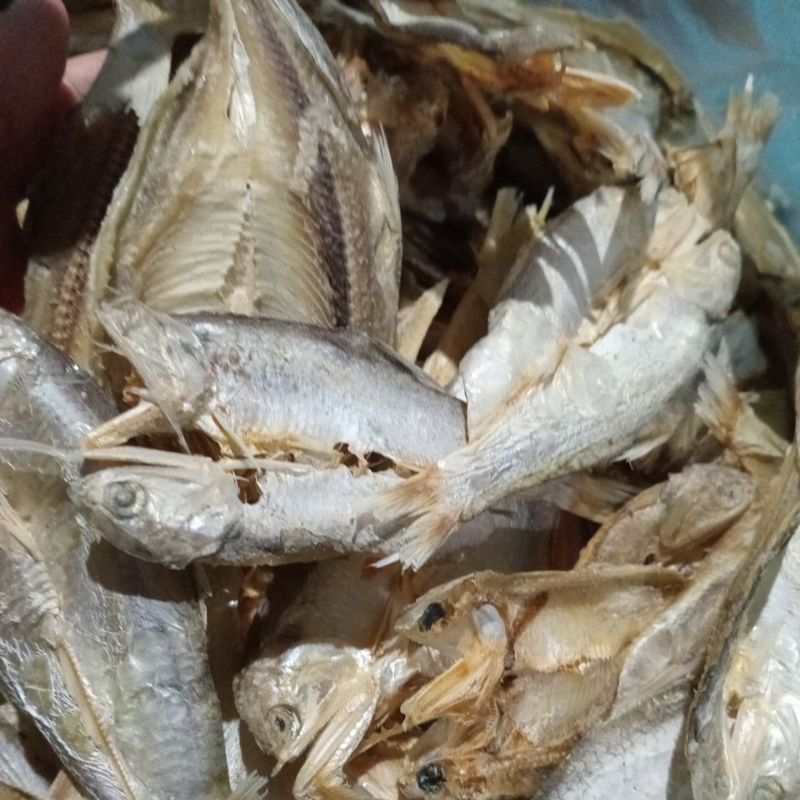 

Ikan kering (gereh) tawar/ tidak asin kemasan 500gram