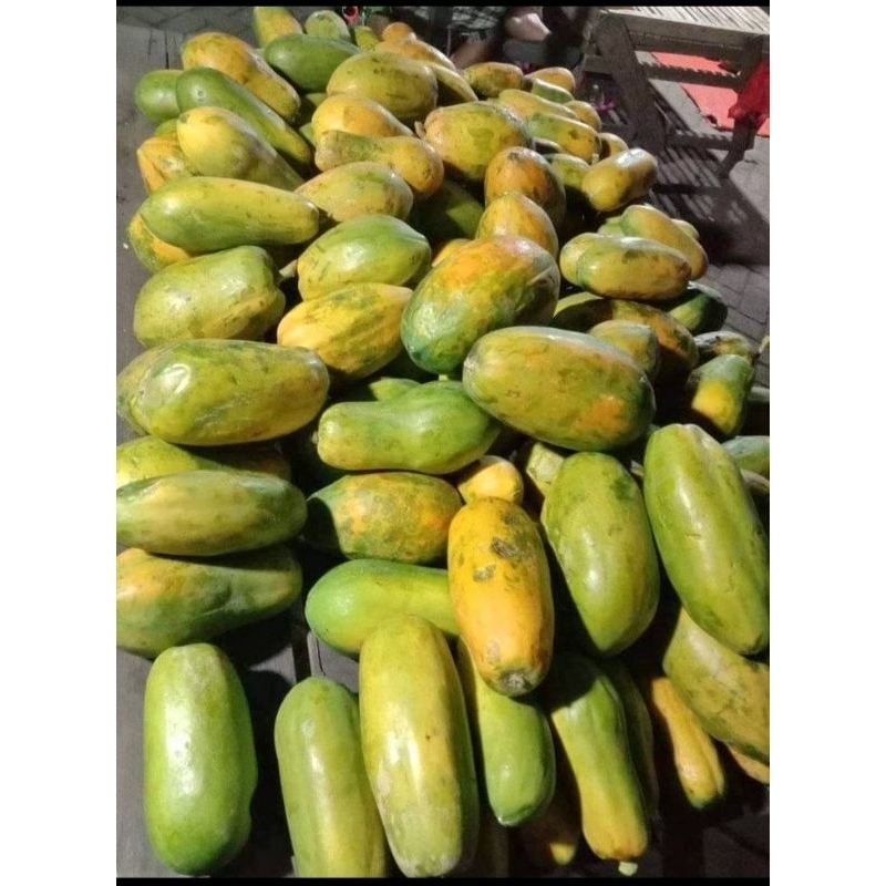 

pepaya