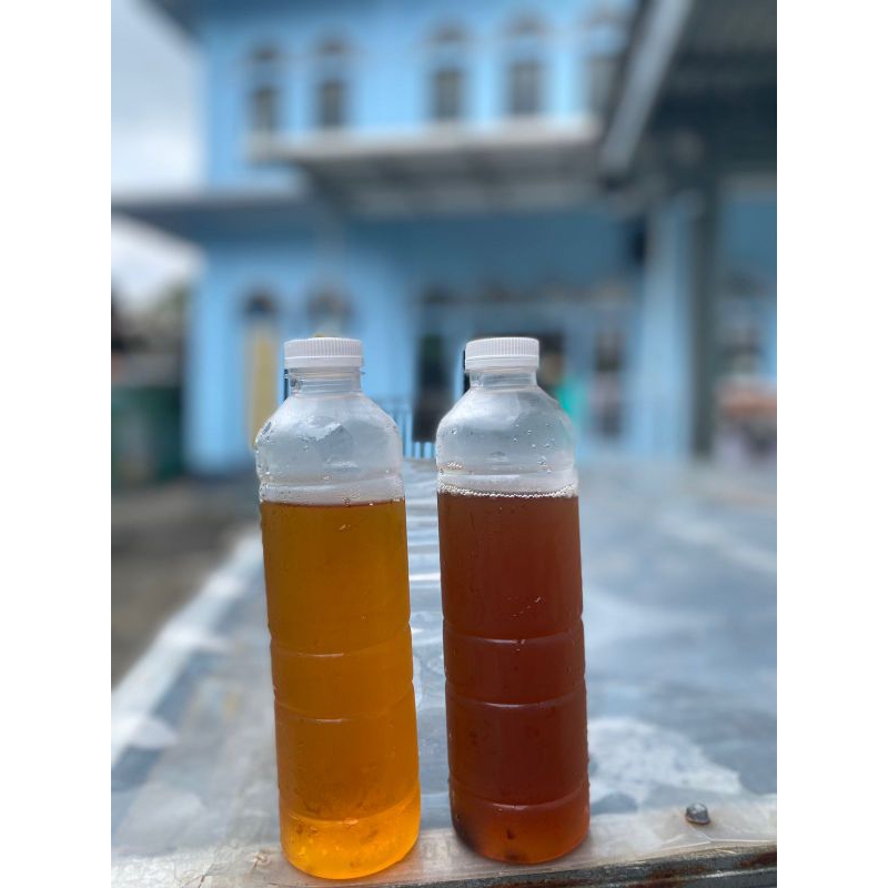 

Teh Kombucha 500 ml (botol plastik)